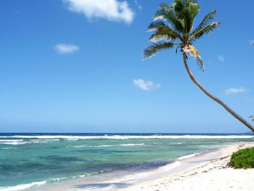 Caribbean Studios Tropicana With Pool - Playa Los Corales 蓬塔卡纳 外观 照片